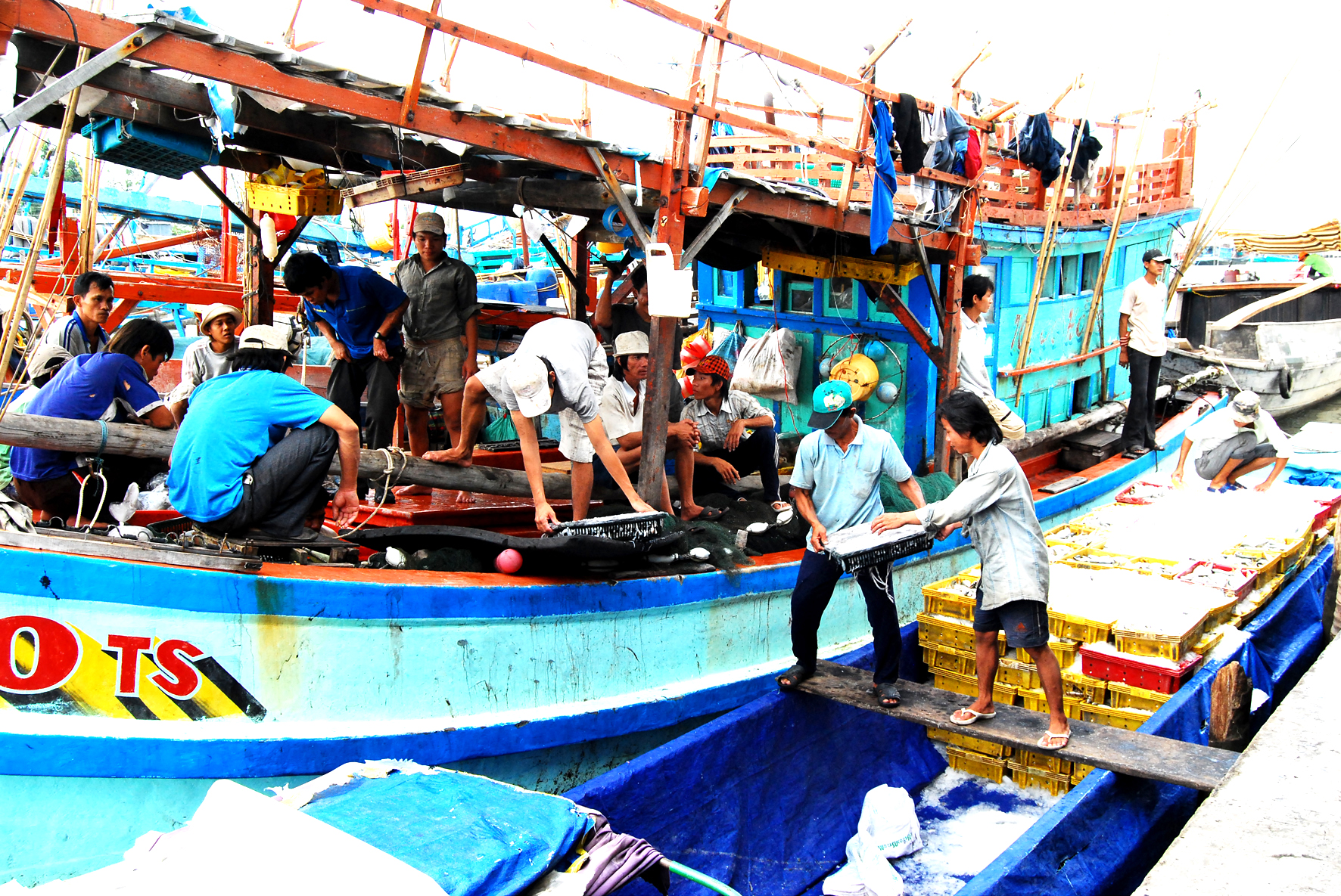 Đổi thay ở vùng căn cứ U Minh